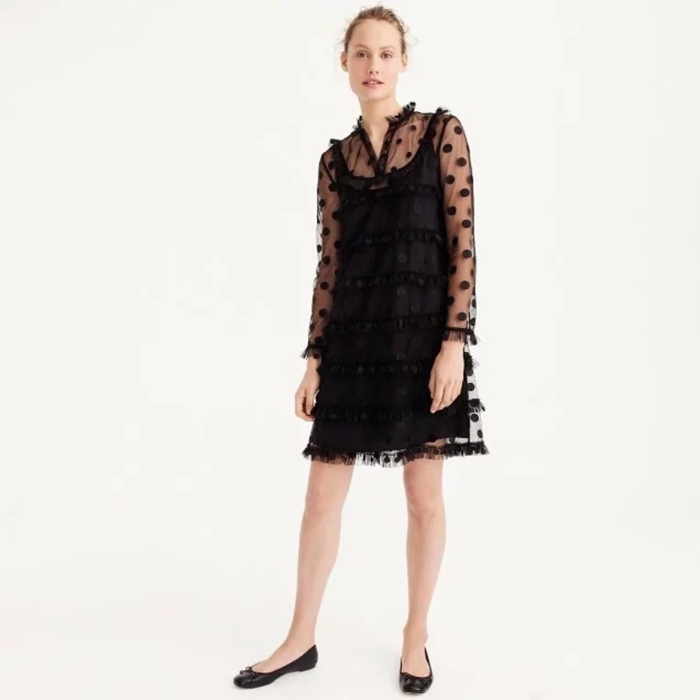J.Crew Collection Black Polka-dot Embroidered Tulle Dress